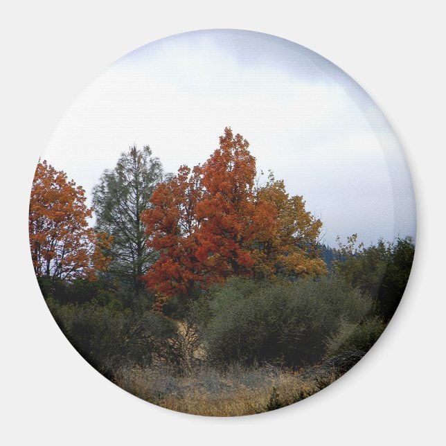 Aimant La beauté automnale.... (Devant)