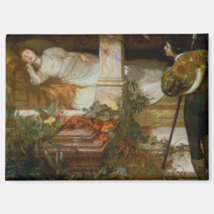 Aimant La Belle au Bois Dormant (Jolie Princesse Rencontr