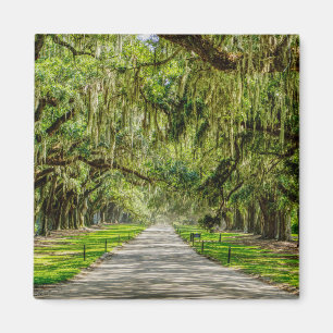 Aimant La Belle Avenue Des Chênes