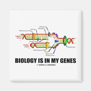Aimant La biologie est dans mes gènes (la reproduction