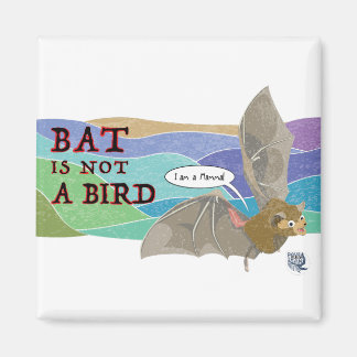 Aimant La chauve-souris n'est pas un oiseau