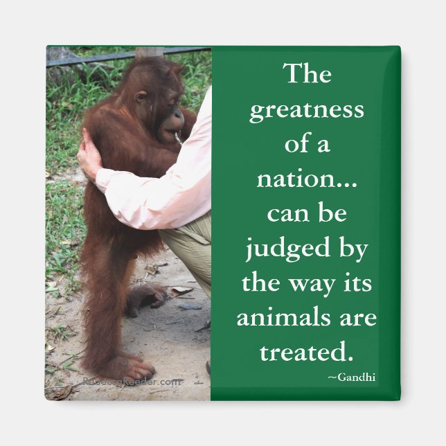 Aimant La citation animale de Gandhi (Devant)