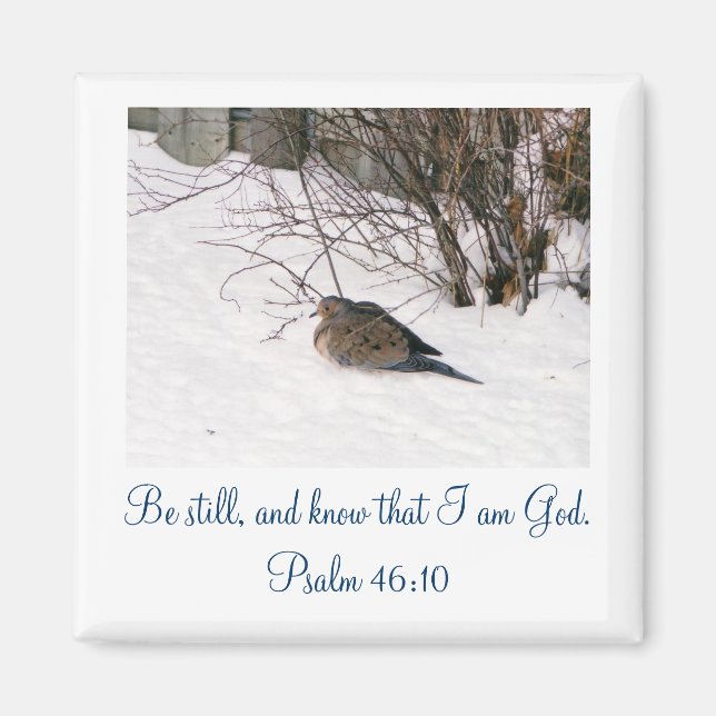 Aimant La colombe dans l'aimant de la neige (Devant)