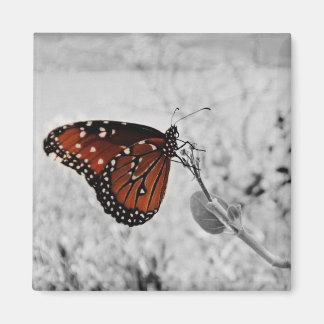 Aimant La dame au lac