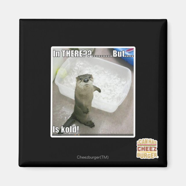 Aimant Là-dedans ? Est Kold ! (Devant)