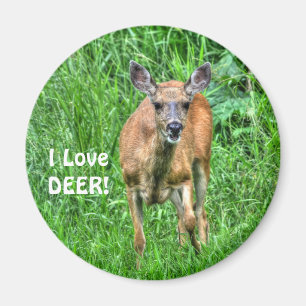 Aimant La faune des cerfs et de l'herbe pour les amateurs