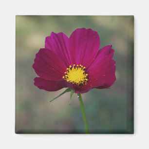 Aimant La fleur parfaite de la soeur