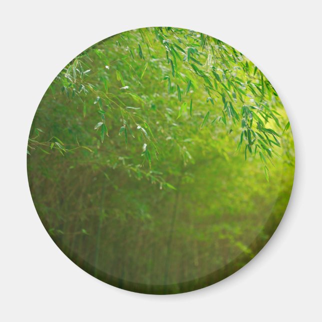 Aimant La forêt de Bambou (Devant)