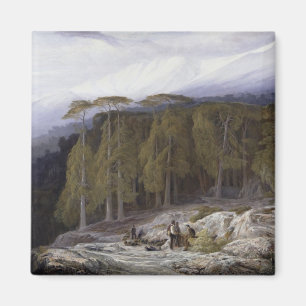 Aimant La Forêt de Valdoniello, Corse, 1869 (huile sur c
