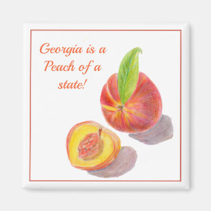 Aimant La Géorgie Est Une Pêche D'État