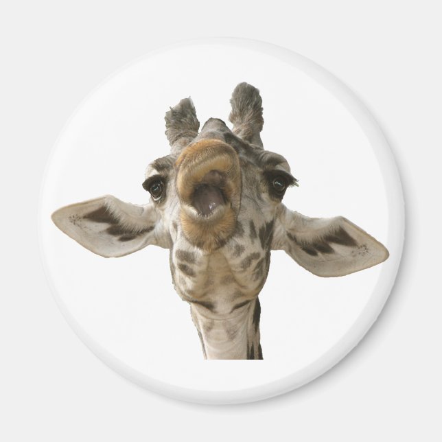 Aimant La girafe de Helaine (Devant)