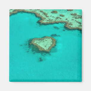 Aimant La Grande barrière de corail, corail de coeur de