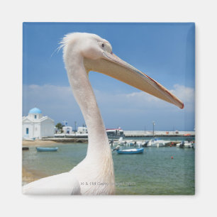 Aimant La Grèce, îles de Cyclades, Mykonos, pélican