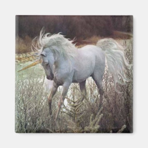 Aimant La licorne