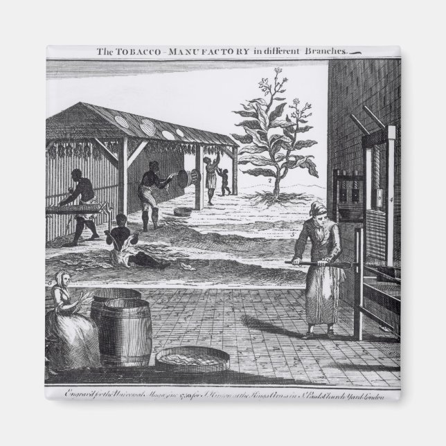 Aimant La manufacture de tabac dans différentes branches (Devant)