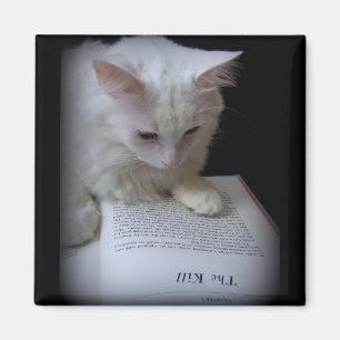 Aimant La mise à mort