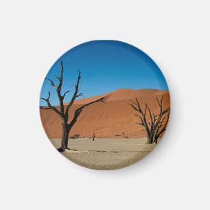 Aimant La Namibie - arbres Petrified à l'aimant mort de