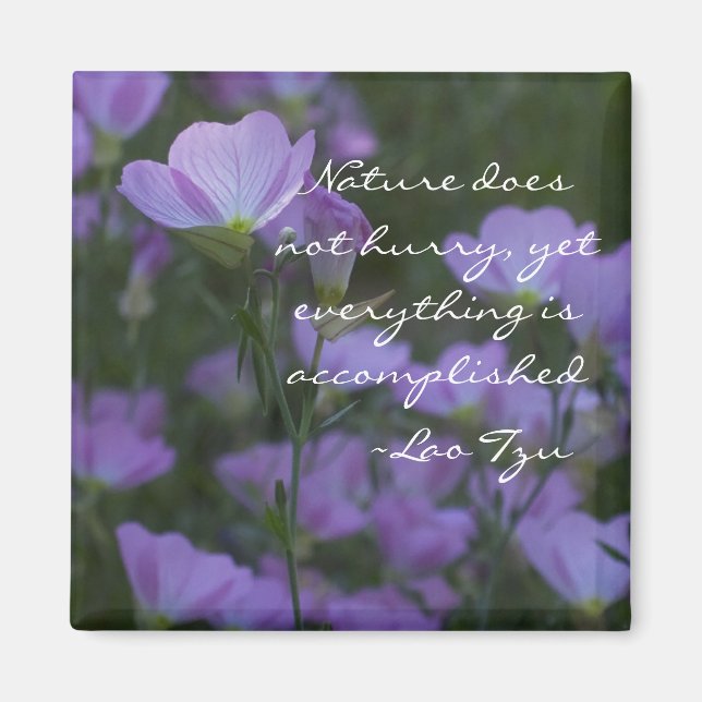 Aimant la nature ne se dépêche pas (Devant)