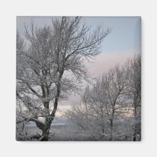 Aimant La neige a couvert des branches