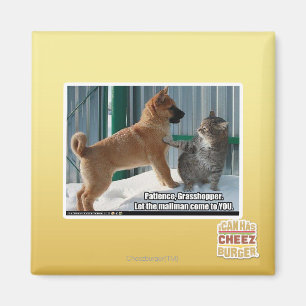 Aimant La patience, sauterelle