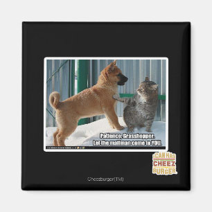 Aimant La patience, sauterelle