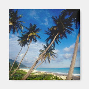 Aimant La péninsule de Samana, République dominicaine,