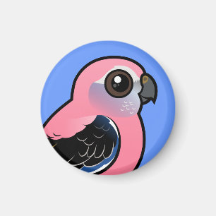 Aimant La perruche de Bourke