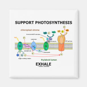 Aimant La photosynthèse de soutien exhalent (l'humour de