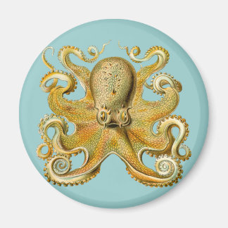 Aimant La pieuvre d'Ernst Haeckel