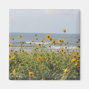Aimant La plage d'île de Galveston fleurit l'aimant