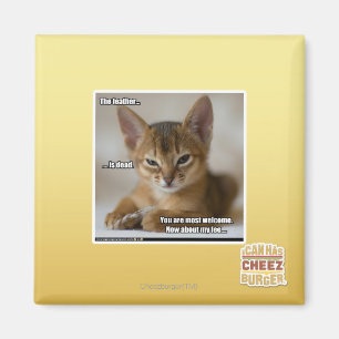 Aimant La plume est morte.