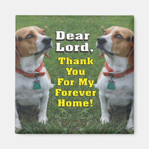 Aimant La prière du beagle