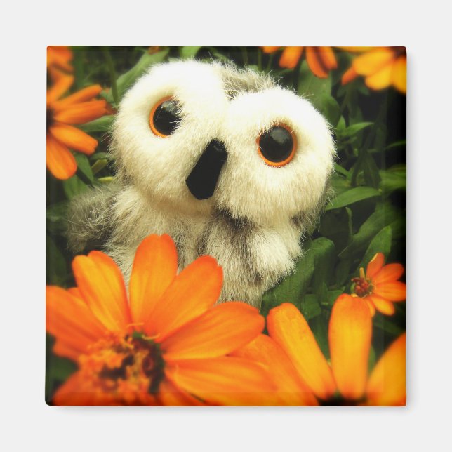 Aimant La Recherche De Fées Continue... (Devant)