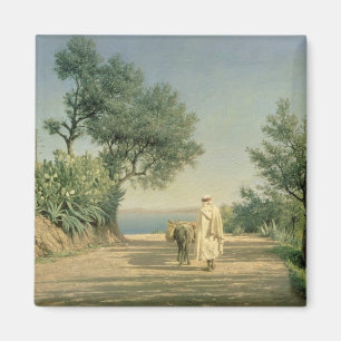 Aimant La route vers la mer, Algérie, 1883