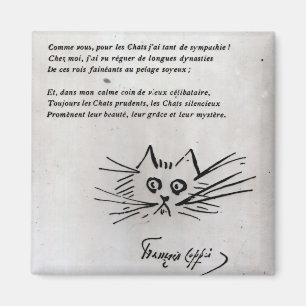 Aimant La tête du chat