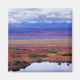 Aimant La toundra du parc national de Denali à la fin