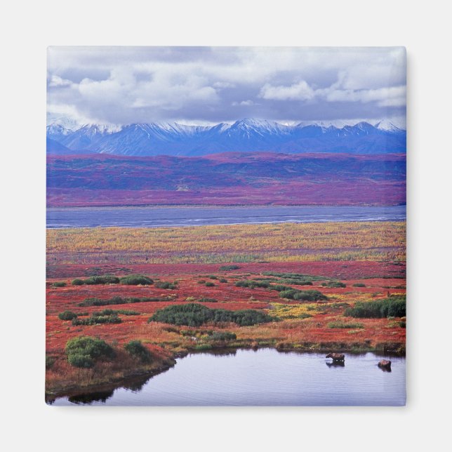 Aimant La toundra du parc national de Denali à la fin (Devant)