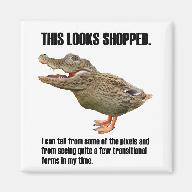 Aimant La tromperie du canard croisé (Devant)