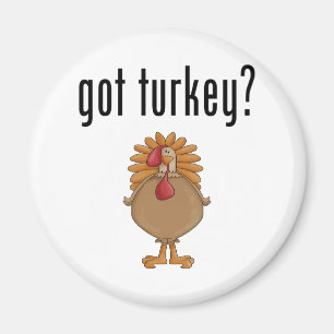 Aimant La Turquie passée ?