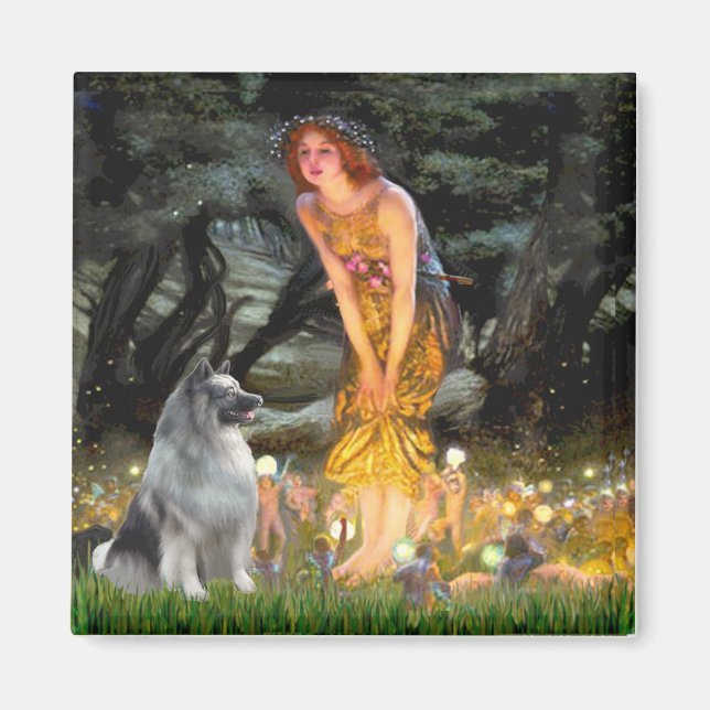Aimant La veille de la Saint-Jean - Keeshond (Devant)