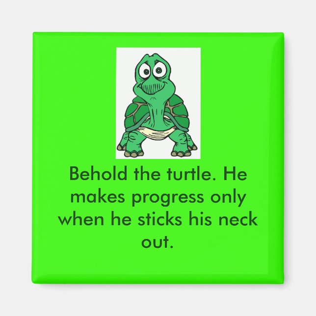 Aimant La vérité de la tortue (Devant)