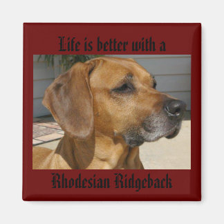 Aimant La vie est meilleure avec un RHODESIAN RIDGEBACK M