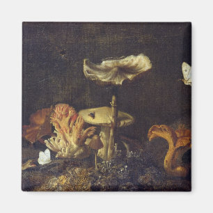 Aimant La vie toujours avec des champignons et des