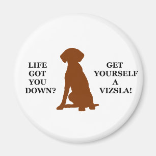 Aimant La vie vous est descendus ? Obtenez-vous un Vizsla