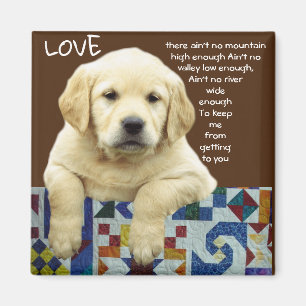AIMANT "LAB LOVE"