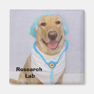 Aimant Laboratoire de recherche