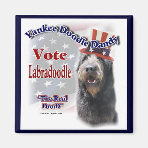Aimant Labradoodle Cadfts