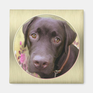 Aimant labrador