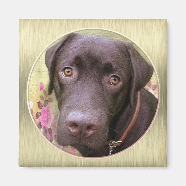 Aimant labrador (Devant)