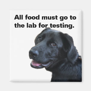 Aimant Labrador Love